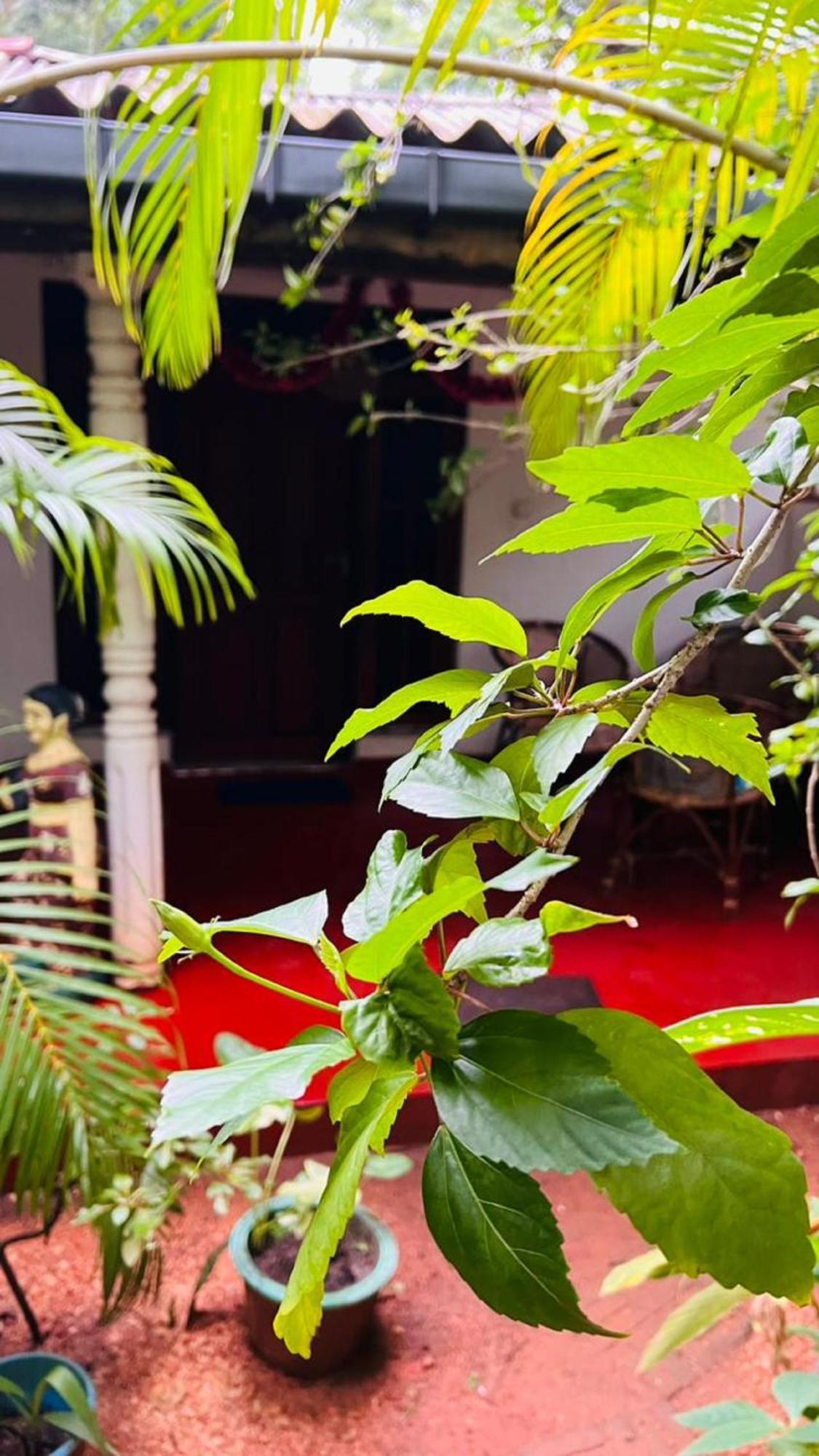Sigiri Kp Family Home 锡吉里亚 外观 照片